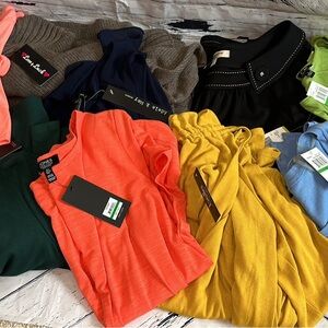 NWT 10 PC LOT SPRING/SUMMER CLOTHING BLOUSE DRESS EVAN PICONE JONES NY L RESELL